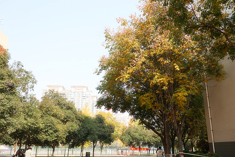 0K9A2672_副本.jpg 0K9A2672_副本.jpg