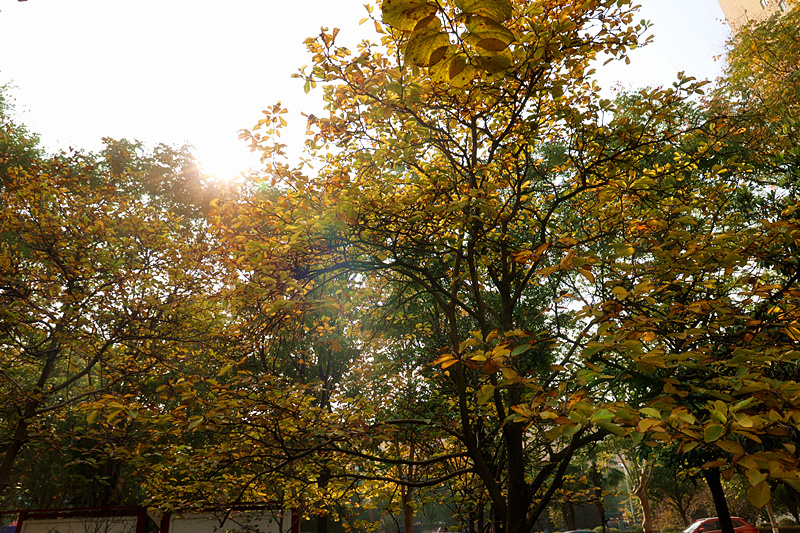 0K9A2650_副本.jpg 0K9A2650_副本.jpg