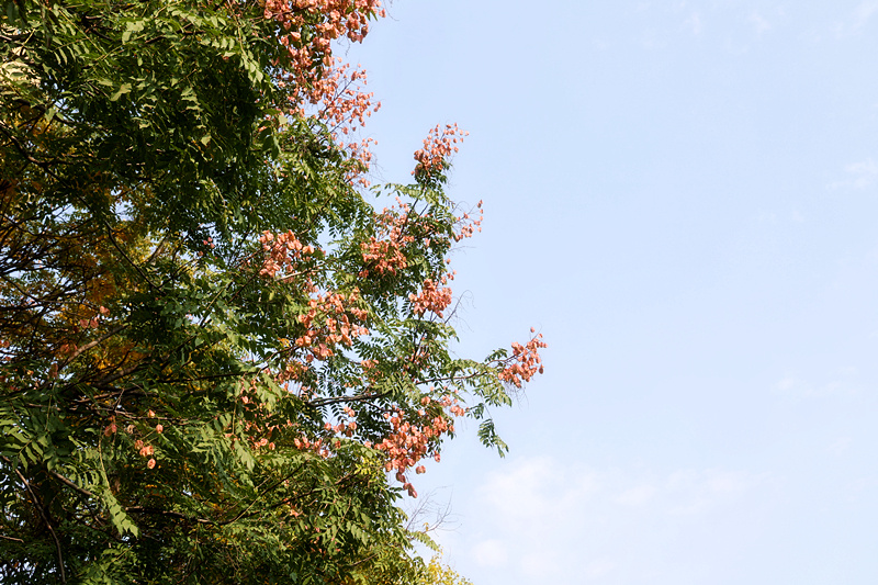 0K9A2657_副本.jpg 0K9A2657_副本.jpg