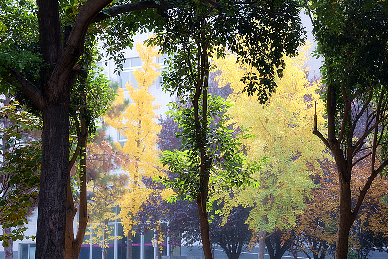 0K9A2702_副本.jpg 0K9A2702_副本.jpg