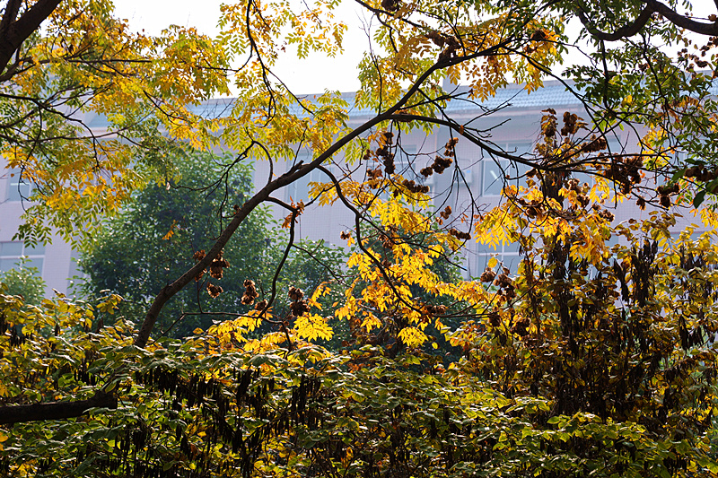 0K9A2711_副本.jpg 0K9A2711_副本.jpg