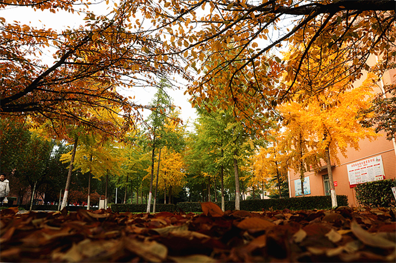 9N1A2269_副本.jpg 9N1A2269_副本.jpg